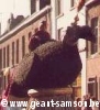cliquez sur la photo pour agrandir